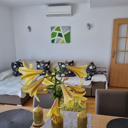 Apartment Boba Синь Екстер'єр фото